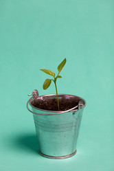 Similar image 21360683