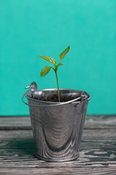 Similar image 21360684