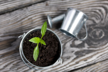 Similar image 21360685