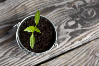 Similar image 21360686