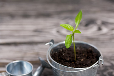 Similar image 21360688