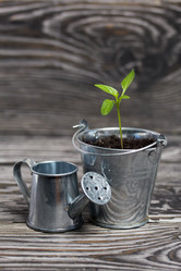 Similar image 21360690