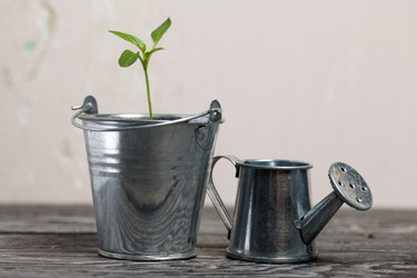 Similar image 21360692