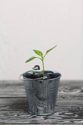 Similar image 21360696