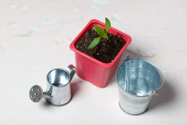 Similar image 21360699