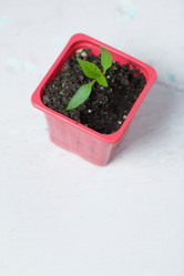 Similar image 21360700