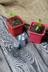 Similar image 21360703