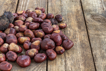 Similar image 21360714