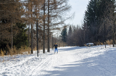 Similar image 21362115