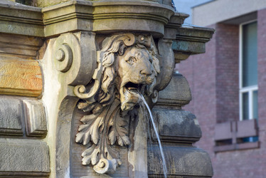 Similar image 21361972