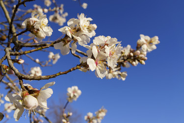 Similar image 21363195