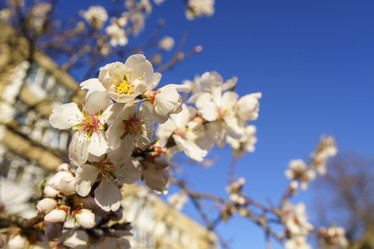 Similar image 21363196