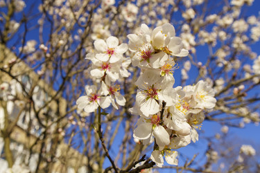 Similar image 21363197