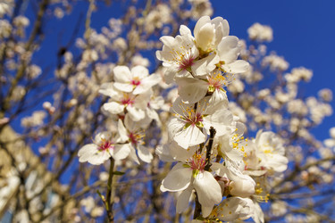 Similar image 21363198