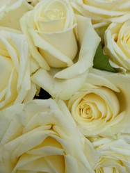 Similar image 21359317