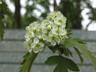 Similar image 21358709