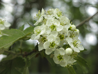 Similar image 21358710