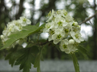 Similar image 21358711