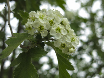 Similar image 21358712