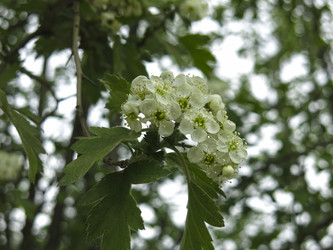 Similar image 21358713