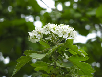 Similar image 21358714