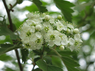 Similar image 21358715