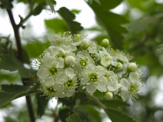 Similar image 21358716