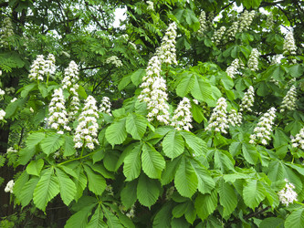 Similar image 21358717