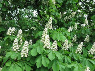 Similar image 21358718