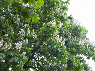 Similar image 21358719