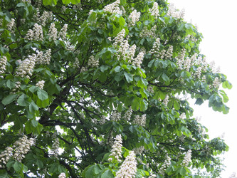 Similar image 21358720