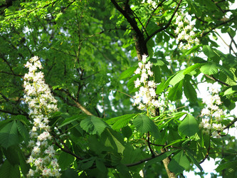 Similar image 21358721