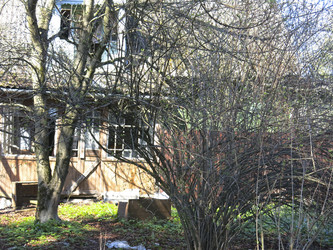 Similar image 21358737