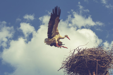 Similar image 21359948