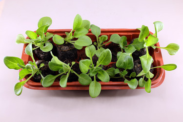 Similar image 21359129