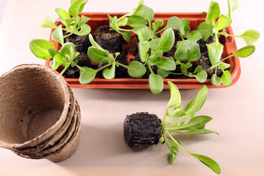 Similar image 21359130