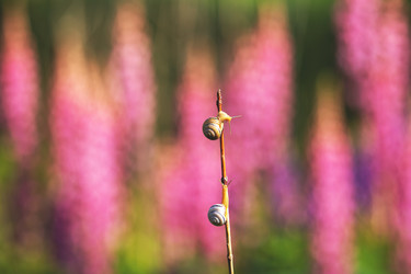 Similar image 21362280