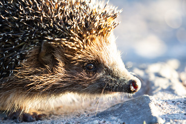 Similar image 21362283