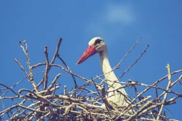 Similar image 21362284