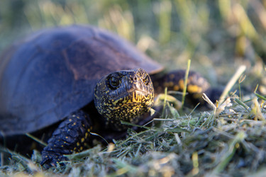 Similar image 21362287