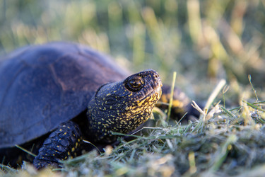 Similar image 21362288