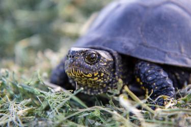 Similar image 21362290