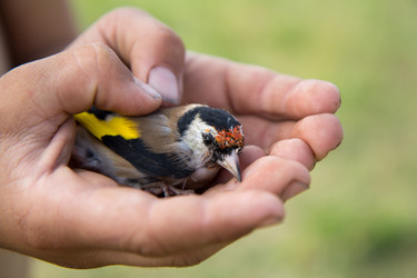 Similar image 21362299