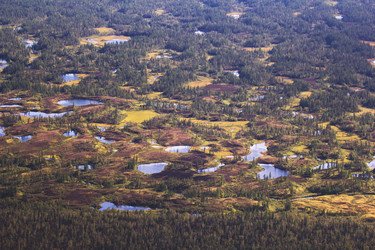 Similar image 21362301