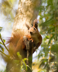 Similar image 21362302