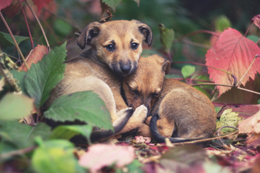 Similar image 21362303