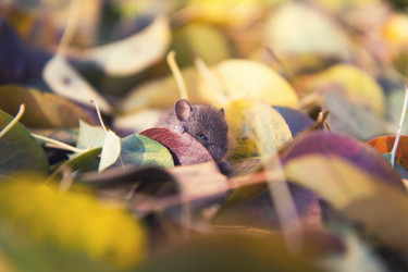 Similar image 21362305