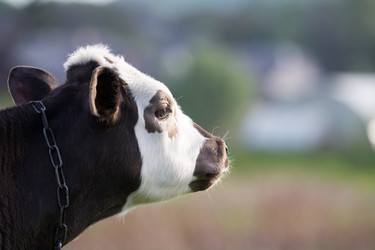 Similar image 21362306