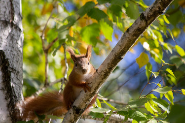 Similar image 21362310