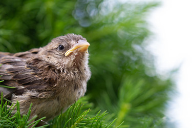 Similar image 21362323